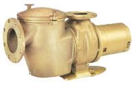 13-028 - Pentair CM 50 pump, 5 HP, single phase