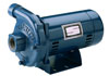 13-150 - Sta-Rite JHG booster pump,
