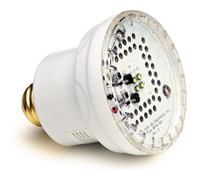 33-390 - Pure White Mini LED bulb, 120v, Hot Water