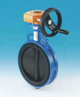 92-199-037-030 - 5" Butterfly valve, gear operated